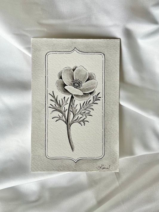 Anemone - Original