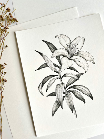 Lily in Light