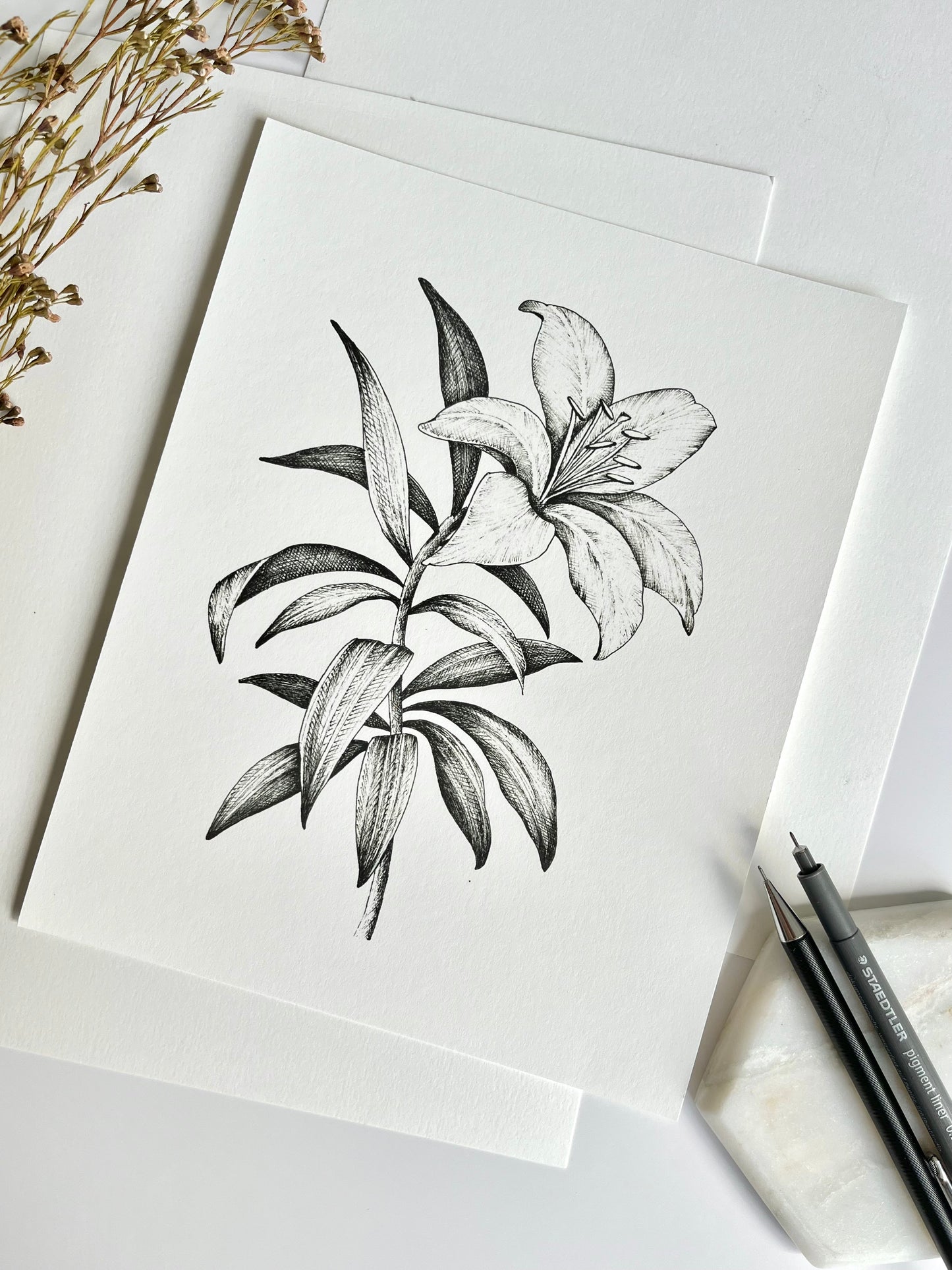 Lily in Light