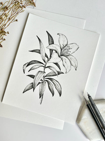 Lily in Light