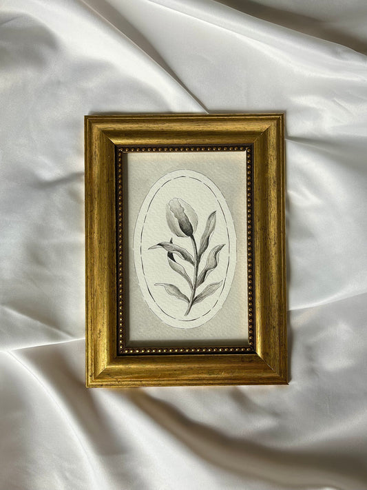 Tulip - Original