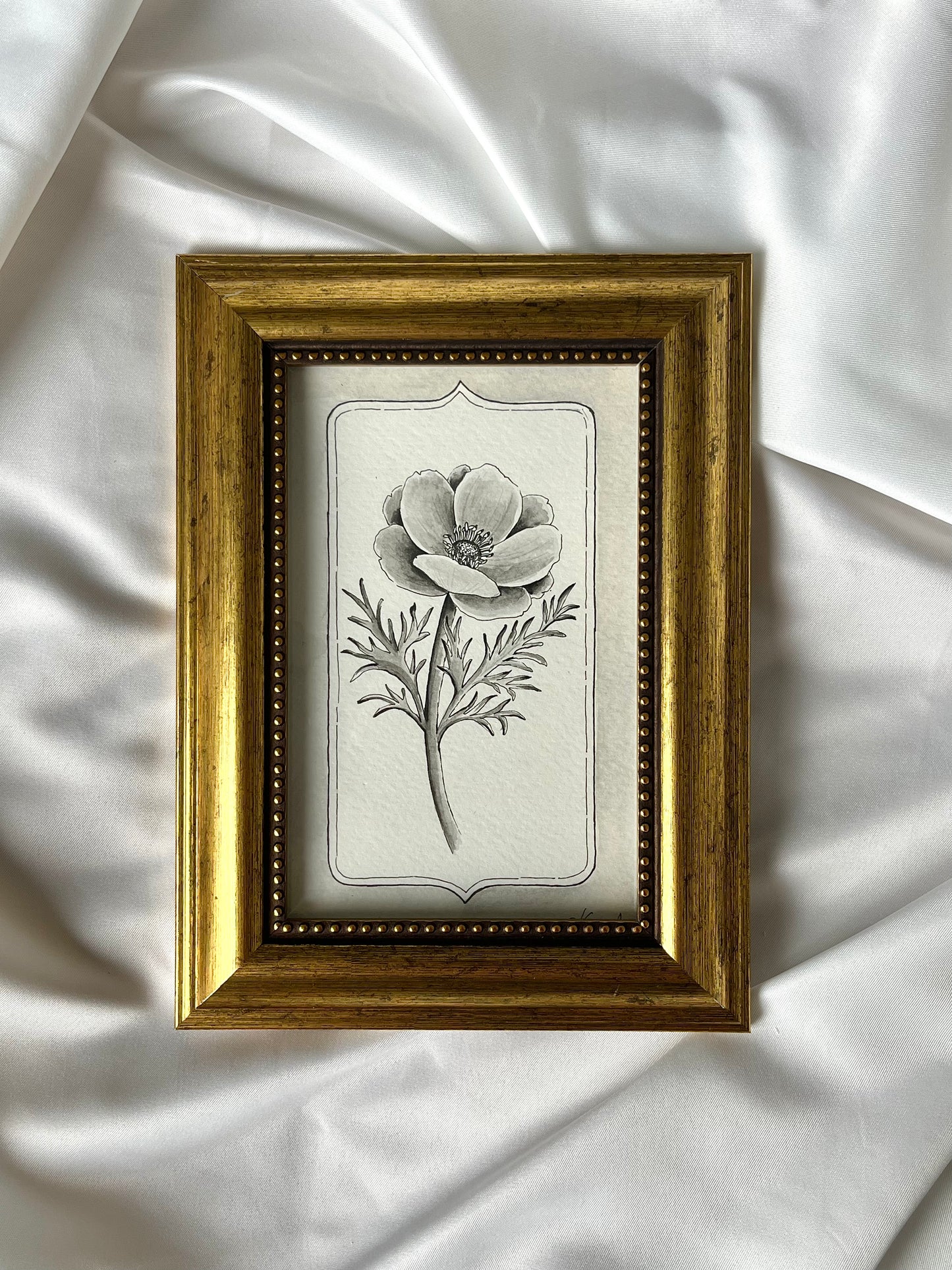 Anemone - Original