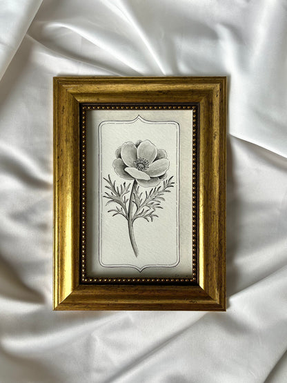 Anemone - Original