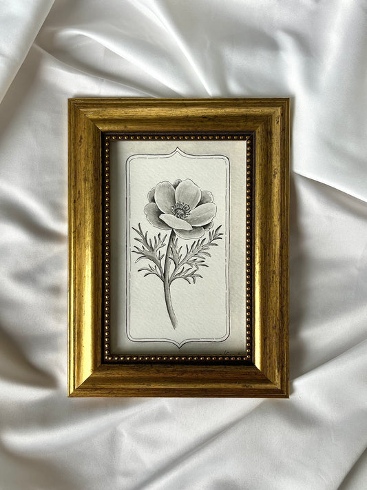 Anemone - Original