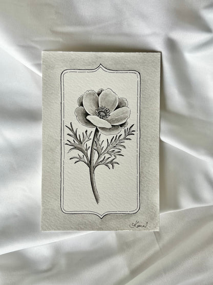Anemone - Original